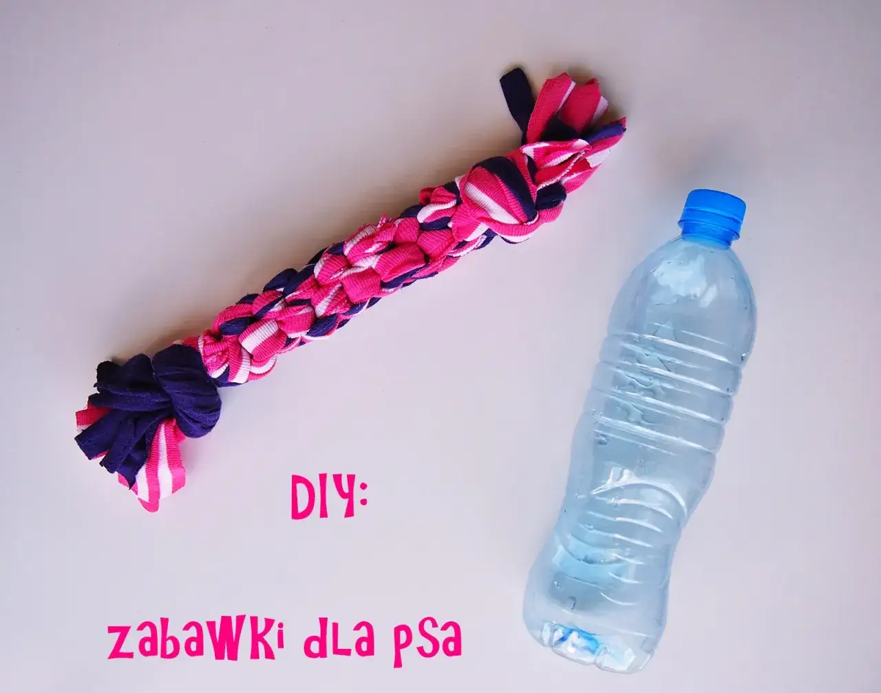 Zdjęcie Jak zrobić zabawkę dla psa z butelki - proste i bezpieczne metody