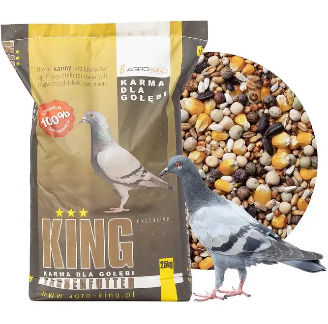 Zdjęcie Co jedzą małe gołębie? Kluczowe składniki diety piskląt