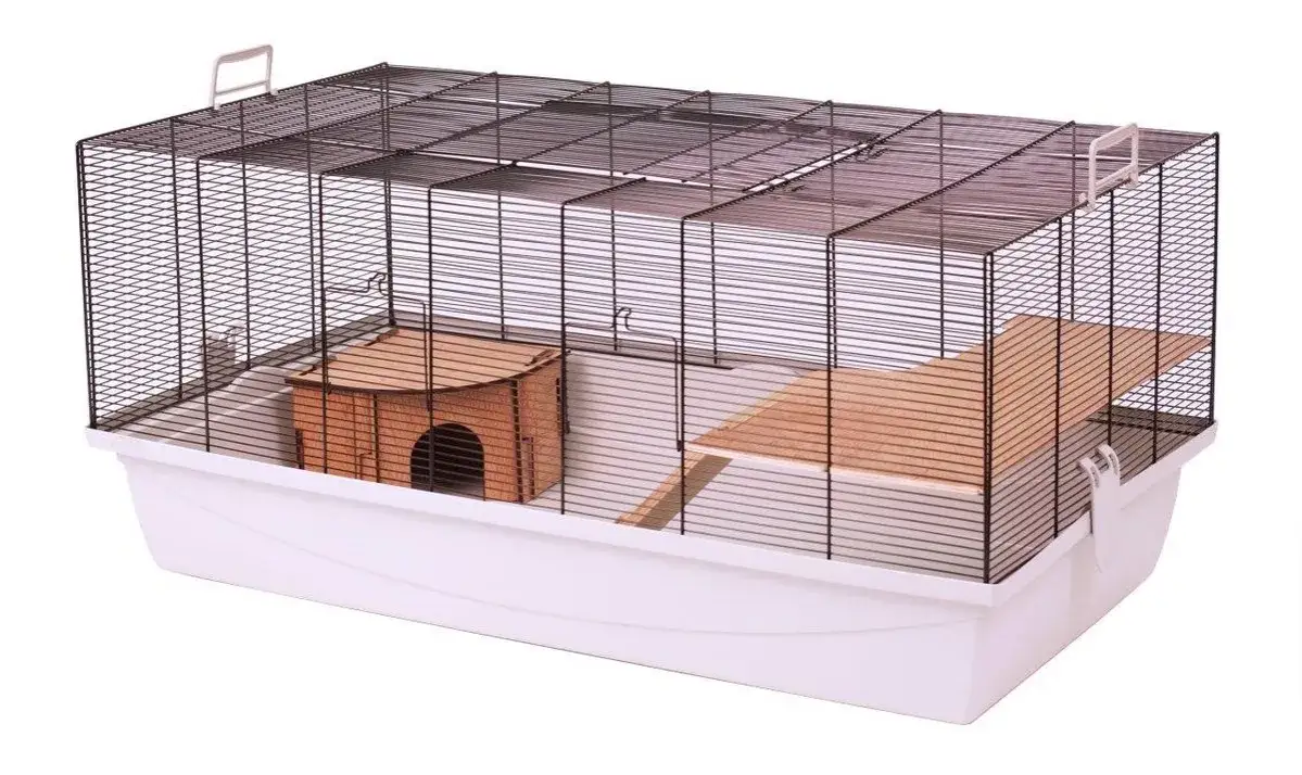 Zdjęcie Ile kosztuje klatka dla myszy i co wpływa na jej cenę? Odpowiedzi znajdziesz!