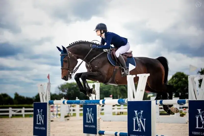 Zdjęcie Jak poprzeczka przeszkody na torze jeździeckim wpływa na skoki?