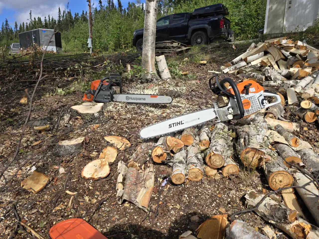Zdjęcie Pilarka STIHL czy Husqvarna – która jest naprawdę lepsza?