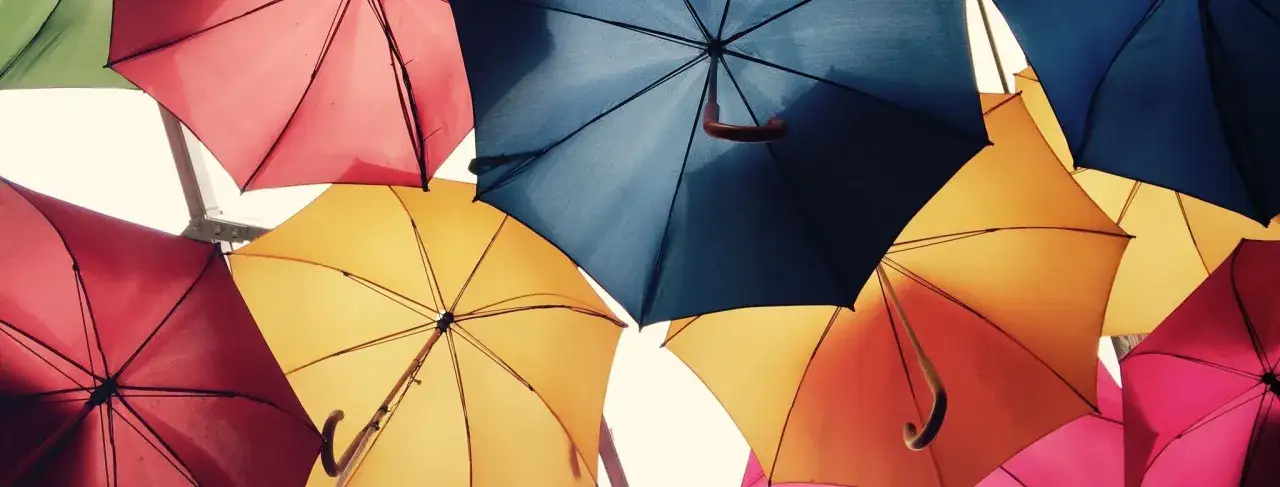 Zdjęcie Wiersz Parasole Heleny Bechlerowej - analiza i tematy w poezji