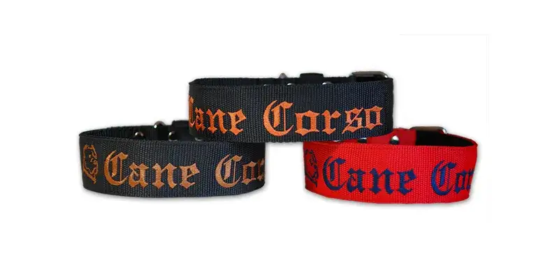 Zdjęcie Jak obroża dla cane corso może zapewnić komfort i bezpieczeństwo?