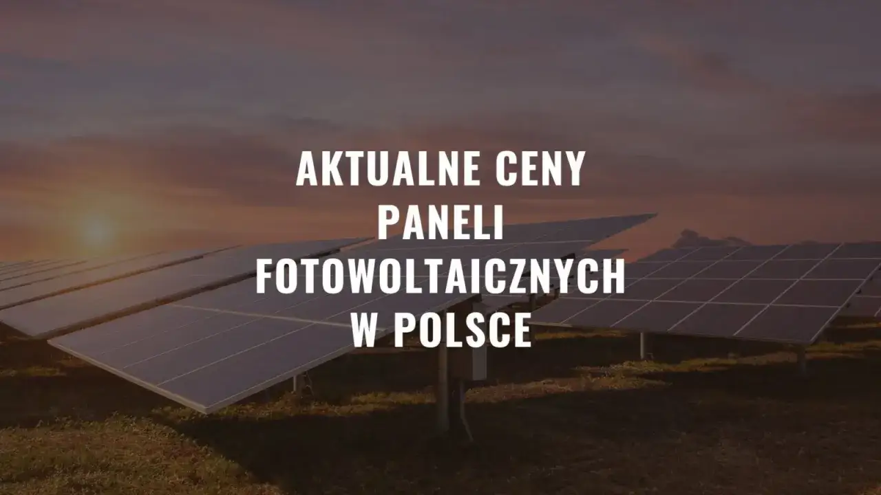 Zdjęcie Ile kosztuje jeden panel fotowoltaiczny: aktualne ceny i porównanie