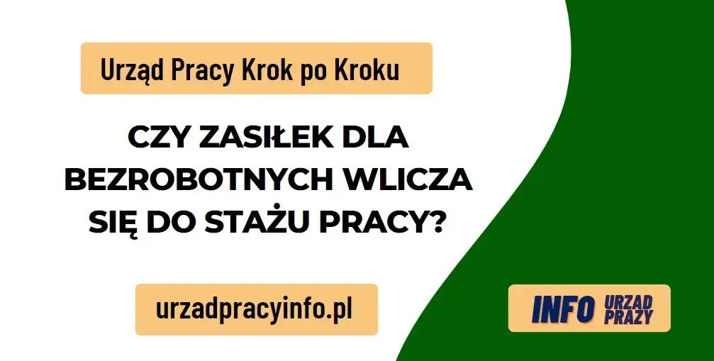 Czy staż wlicza się do zasiłku dla bezrobotnych? Sprawdź, co musisz wiedzieć