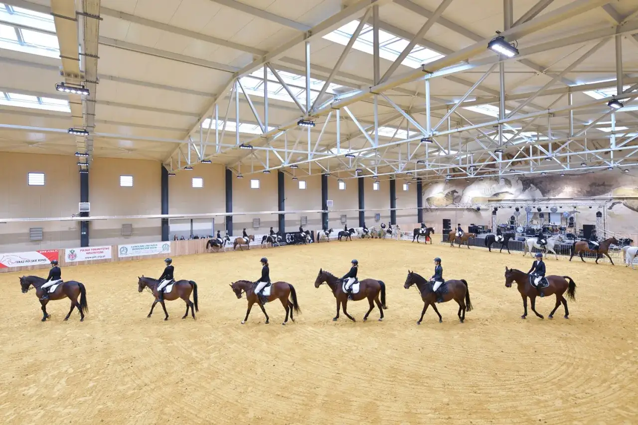 Katowice: Hipologia i Jeździectwo Gdzie Uczyć się i Trenować?