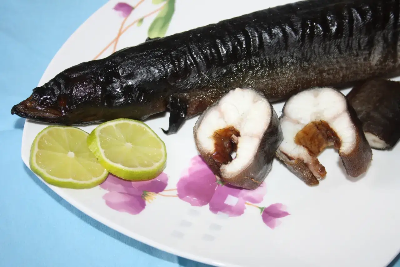 Solanka do węgorza: przepis mistrza. Uniknij błędów, wędź idealnie!