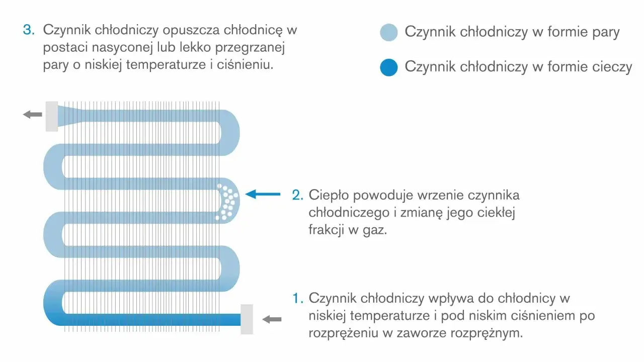 Parownik lodówki: zasada działania i najczęstsze problemy eksploatacyjne