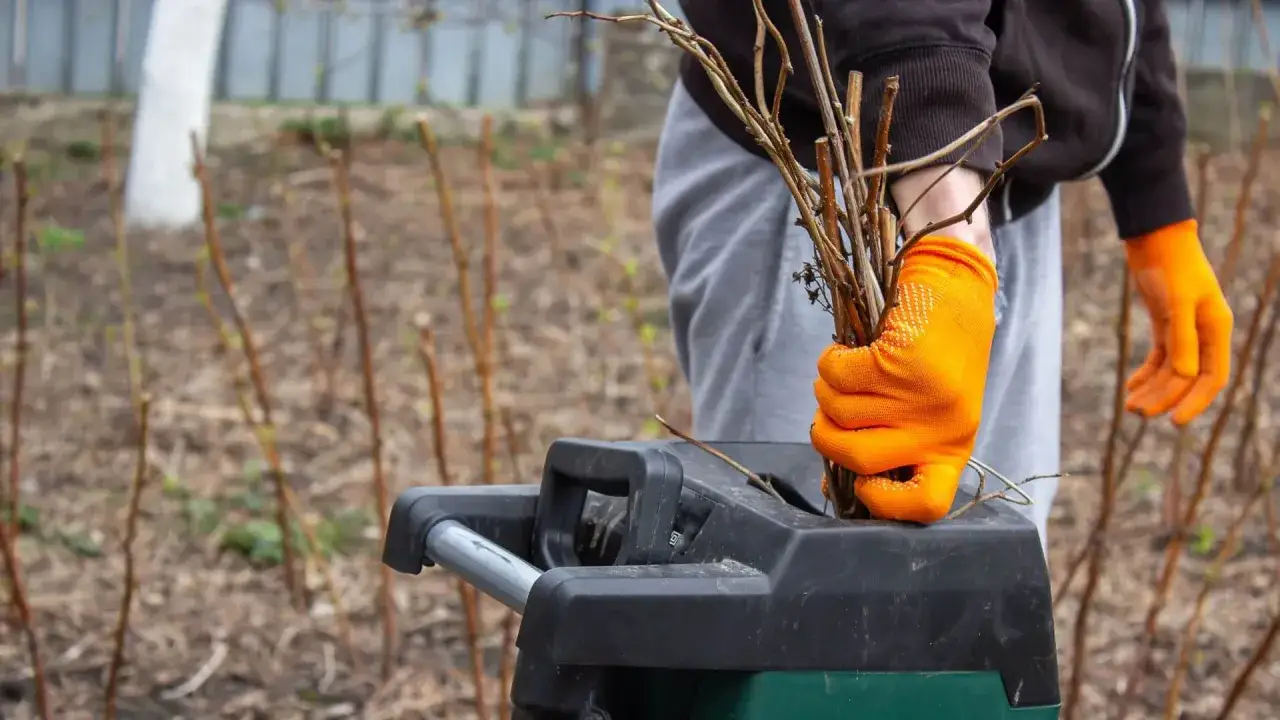 Jaki rozdrabniacz do gałęzi? Frezowy czy nożowy porównanie i wybór