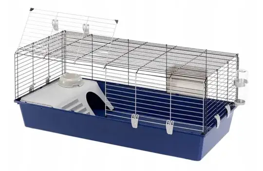 Jak zrobić bezpieczną i wygodną klatkę dla świnki morskiej krok po kroku