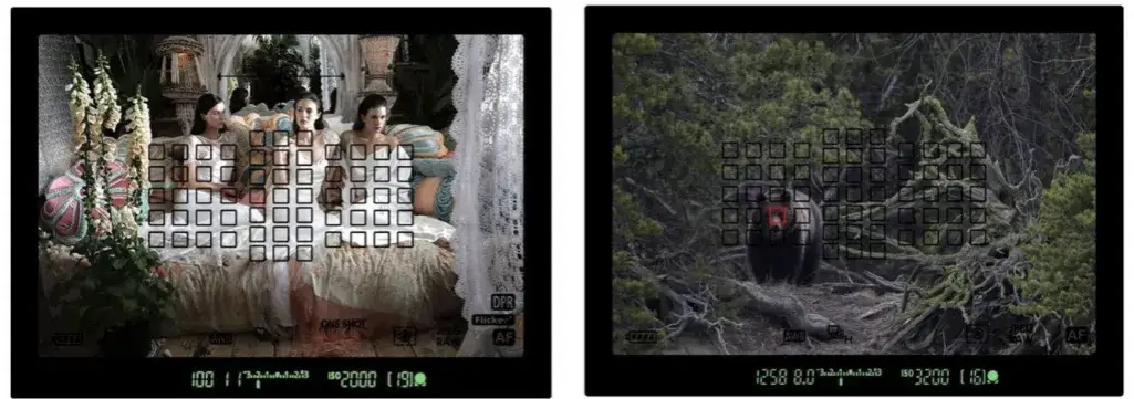 Smartfon vs lustrzanka: Który wybór zapewni lepsze zdjęcia?