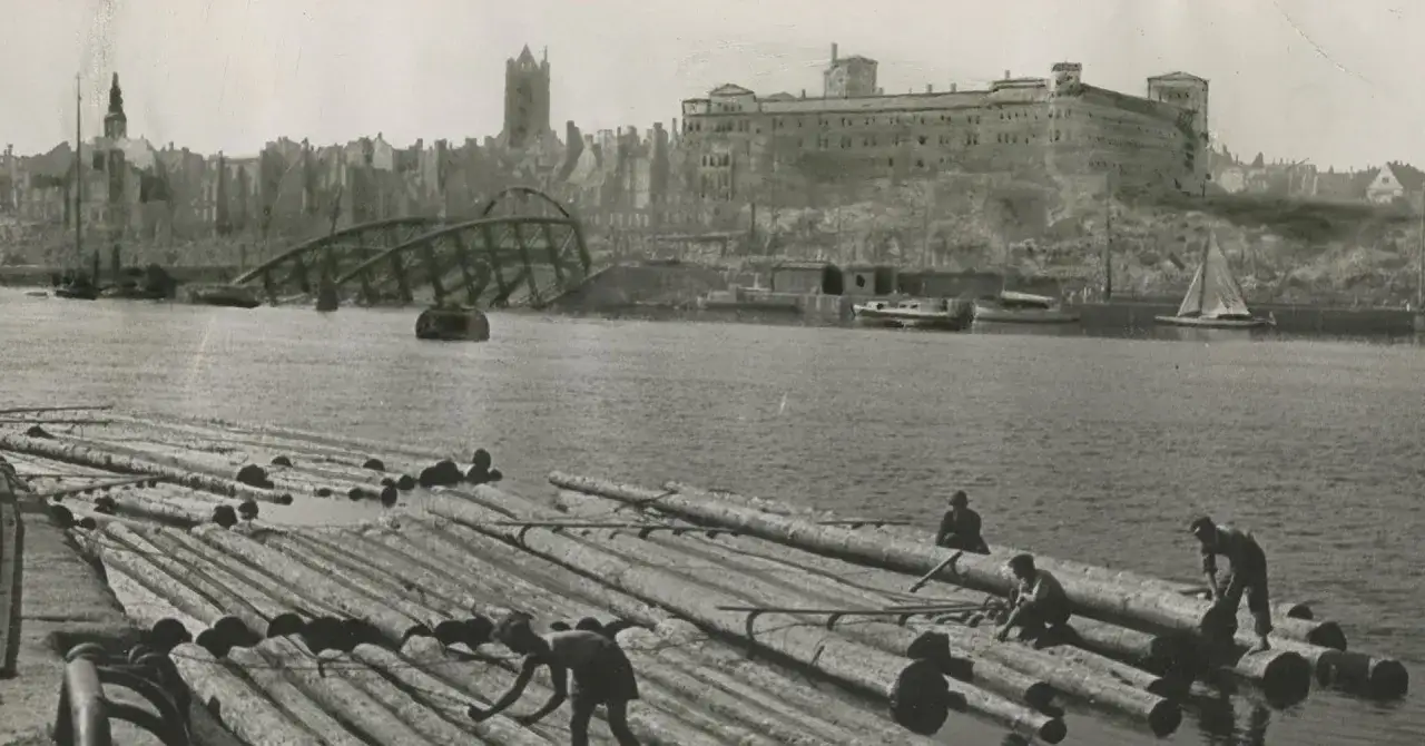 Szczecin: Ponad 350 Żabek! Jak miasto stało się żabkowym potentatem?