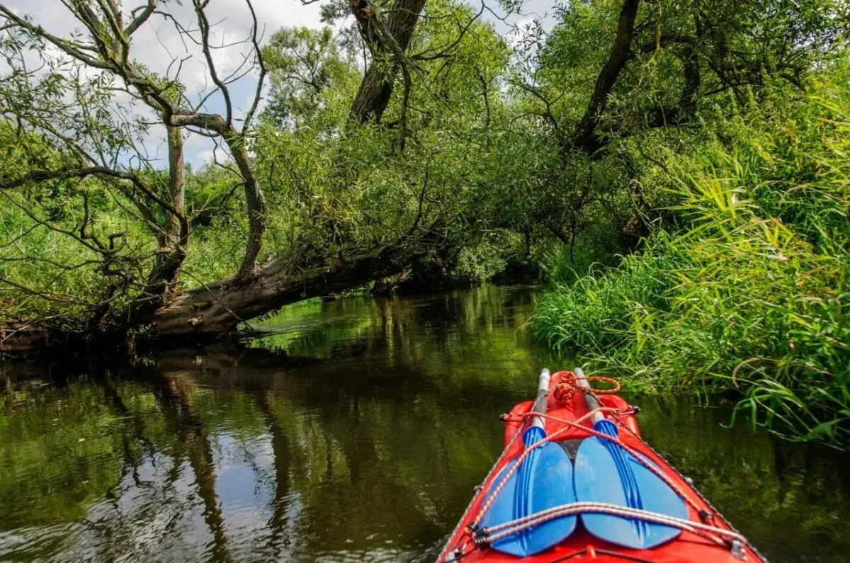 Spływ kajakowy Kaszuby - najlepsze trasy i oferty dla rodzin