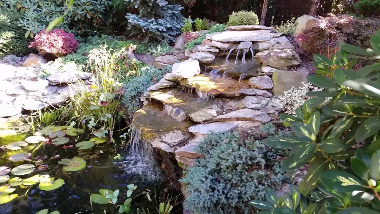 Prosta kaskada w ogrodzie krok po kroku. Uniknij kosztownych błędów!