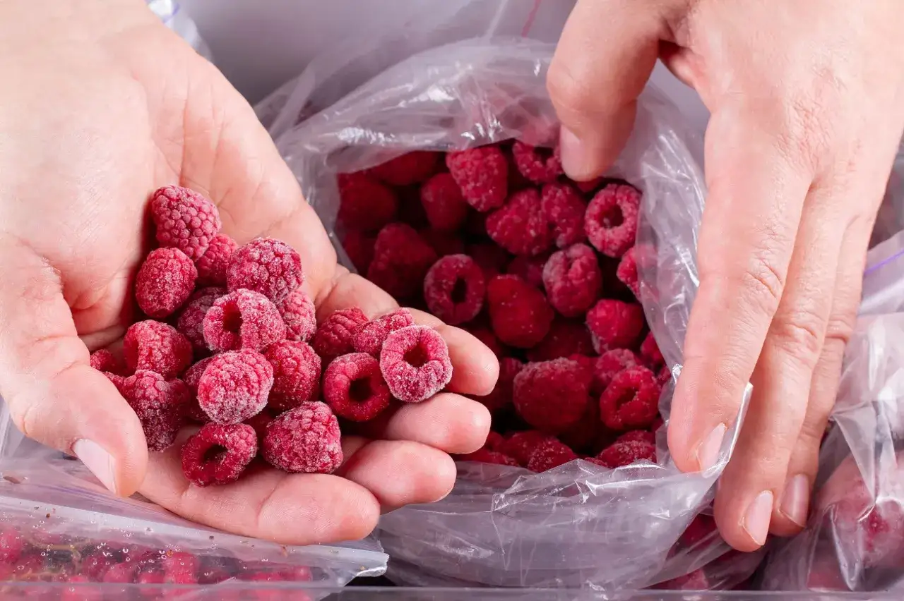 Ręce przesypują mrożone maliny z woreczka. Czy mrożone maliny nadają się do tortu? Tak, są idealne!
