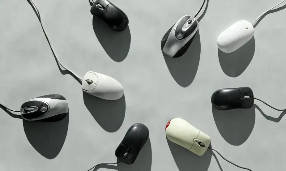 Wszystko co musisz wiedzieć o myszach robotach: rodzaje i zastosowania