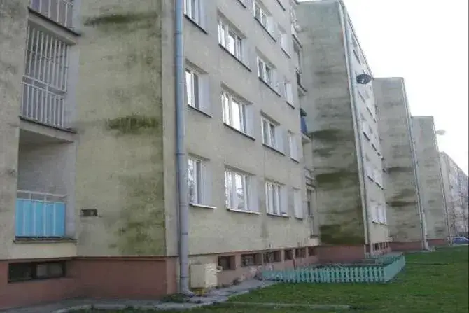 Dlaczego elewacja zielenieje? Odkryj przyczyny i skutki zanieczyszczeń