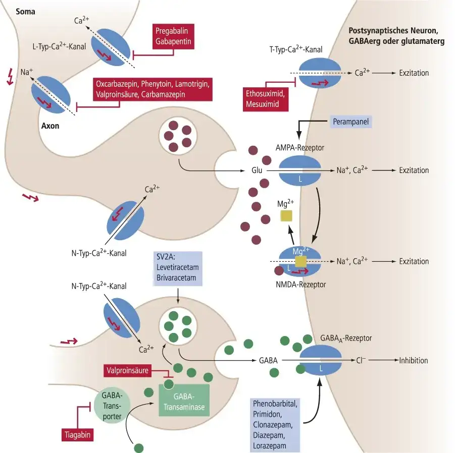 Epilepsie Medikamente: Wirksamkeit, Nebenwirkungen und Behandlungsmöglichkeiten