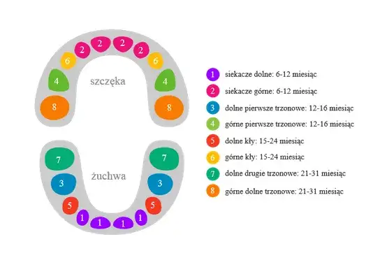 Ząbkowanie u niemowląt: Kiedy się zaczyna i jak ulżyć maluchowi?