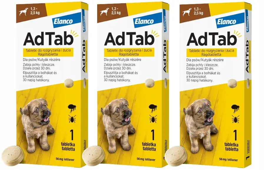 Ile działa tabletka na kleszcze dla psa i kiedy zaczyna chronić?