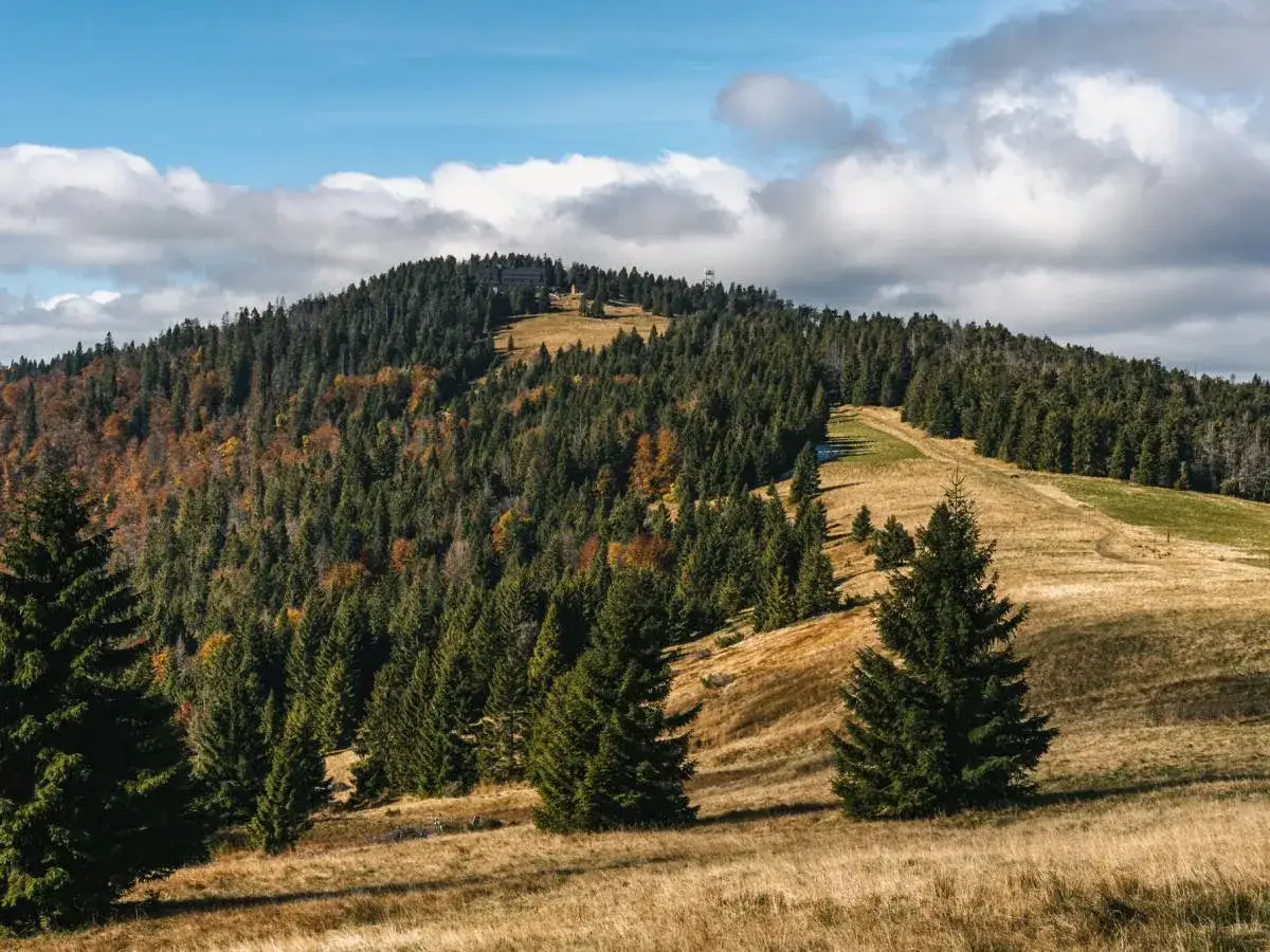 Jaki szlak na Turbacz: najkrótsze i najpiękniejsze trasy do wyboru