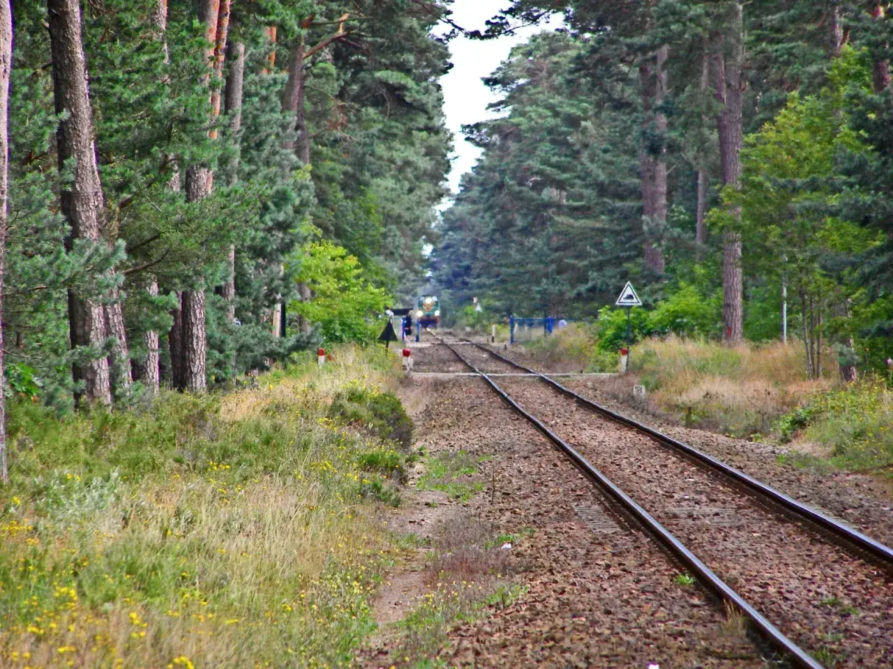 Jak dojechać do Władysławowa pociągiem: czas, połączenia, ceny i zakupy