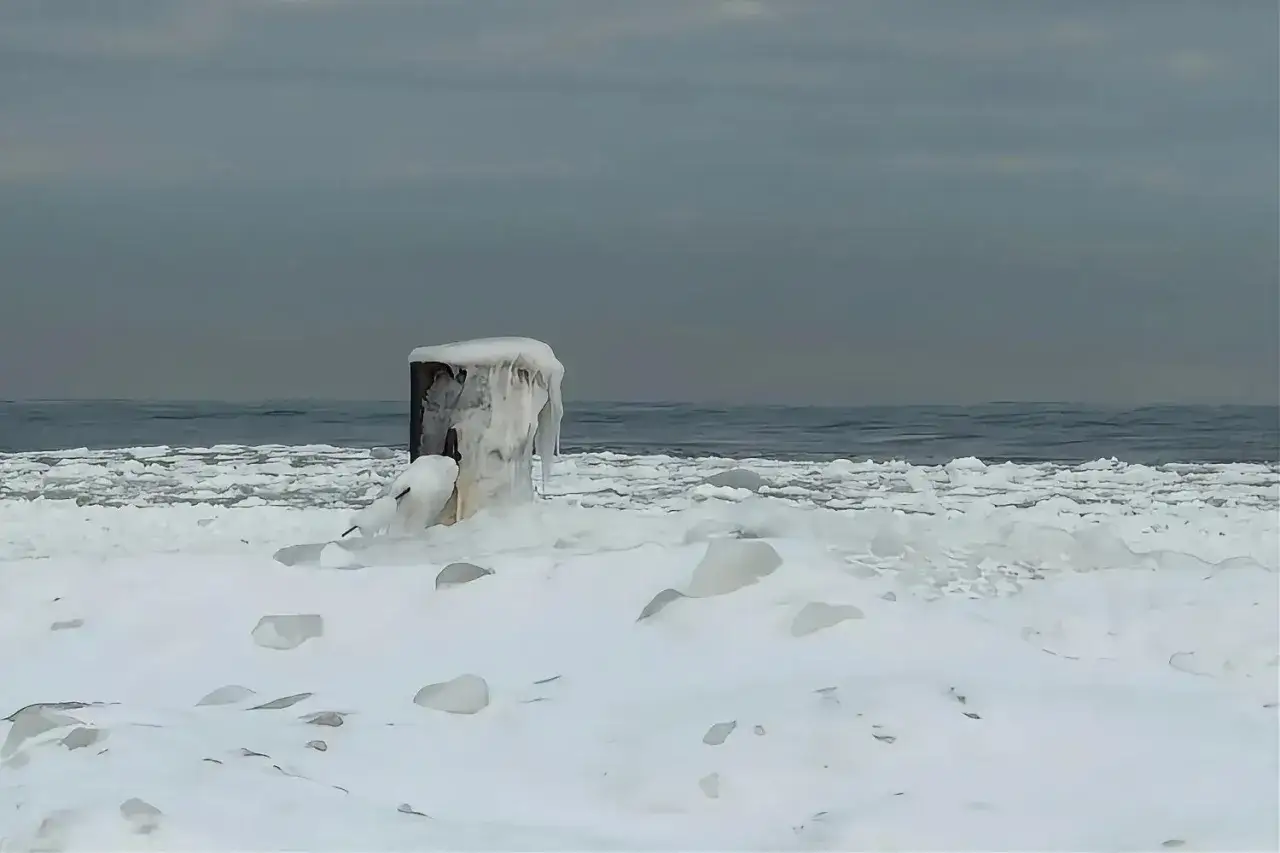 Zamarznięty słup na plaży, pokryty lodem, pokazuje, dlaczego morze zamarza zimą. Woda zamienia się w lód, tworząc zimowy krajobraz.