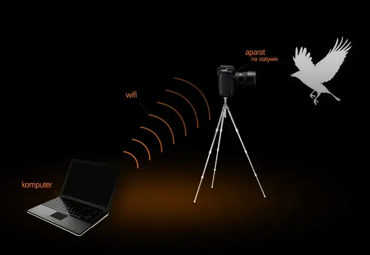 Jak połączyć aparat Nikon z komputerem przez Wi-Fi bez problemów