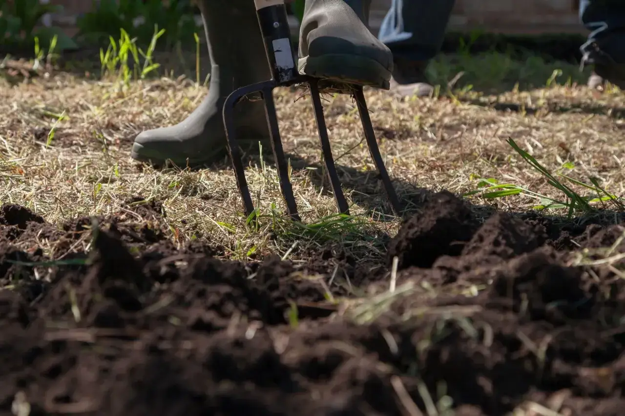 Osoba w gumowcach spulchnia widoczną na pierwszym planie glebę gliniastą za pomocą wideł.