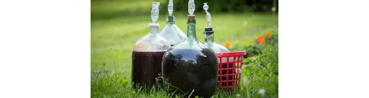 Jak uratować zbyt słodkie wino? Sprawdzone metody i porady