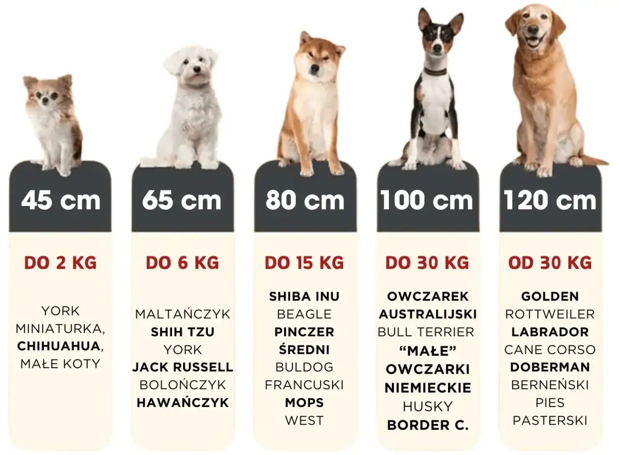 Idealne legowisko dla labradora i innych dużych psów. Tabela rozmiarów od 45 do 120 cm.