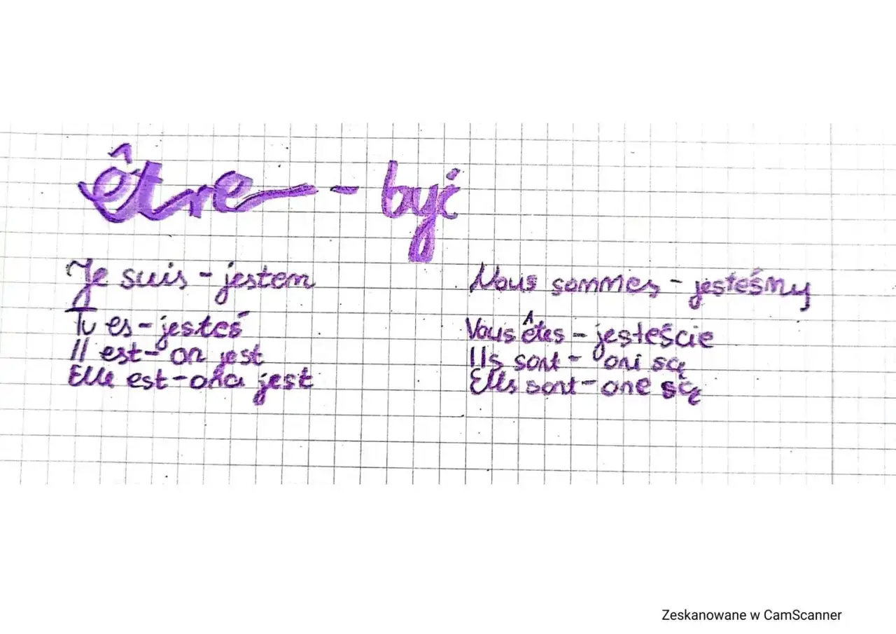 Odmiana Avoir: Czasy, idiomy mów po francusku bez błędów!