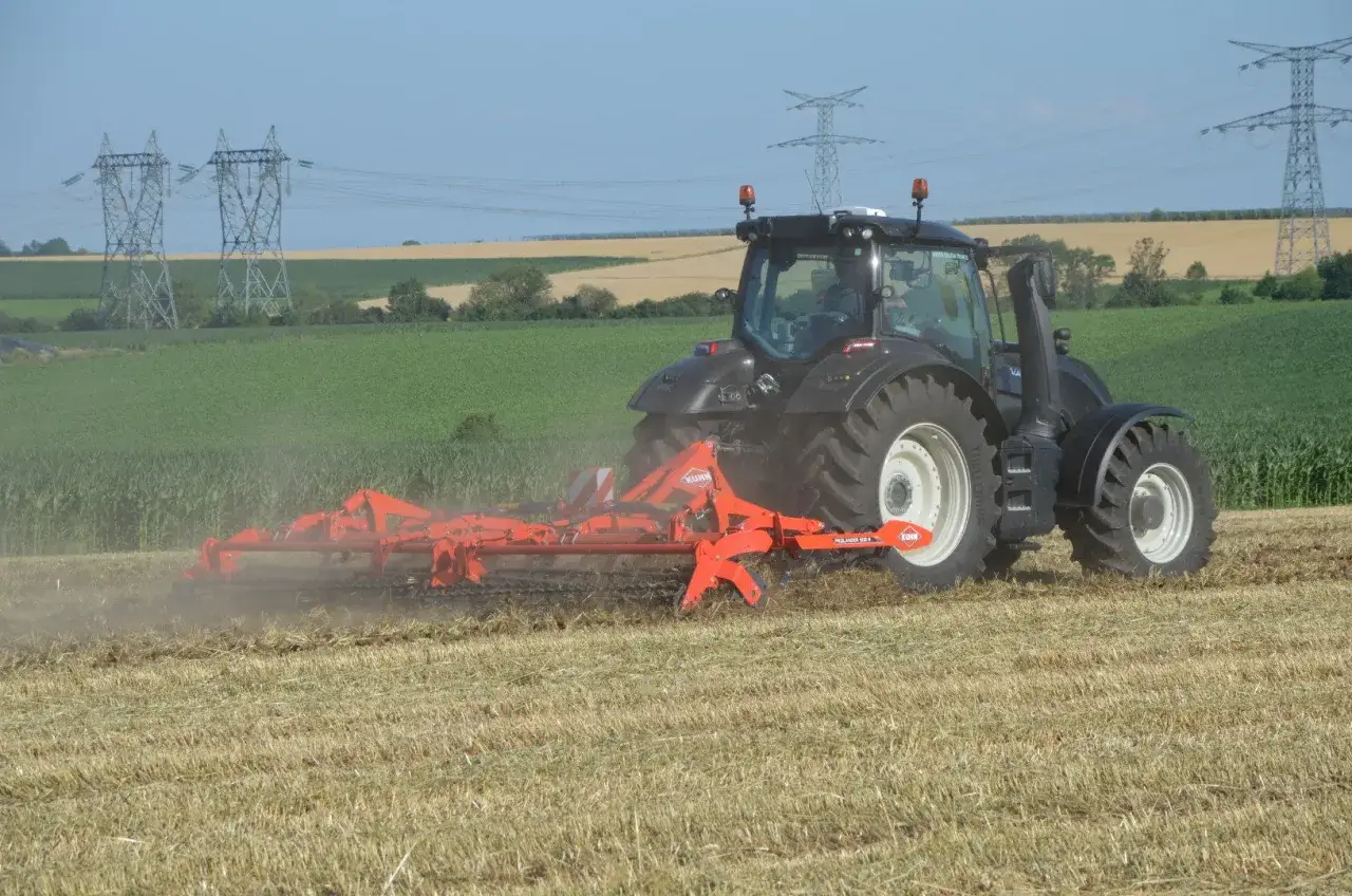 Jak zwalczyć chwasty zbożowe? Ekspert radzi: rozpoznaj i chroń plony