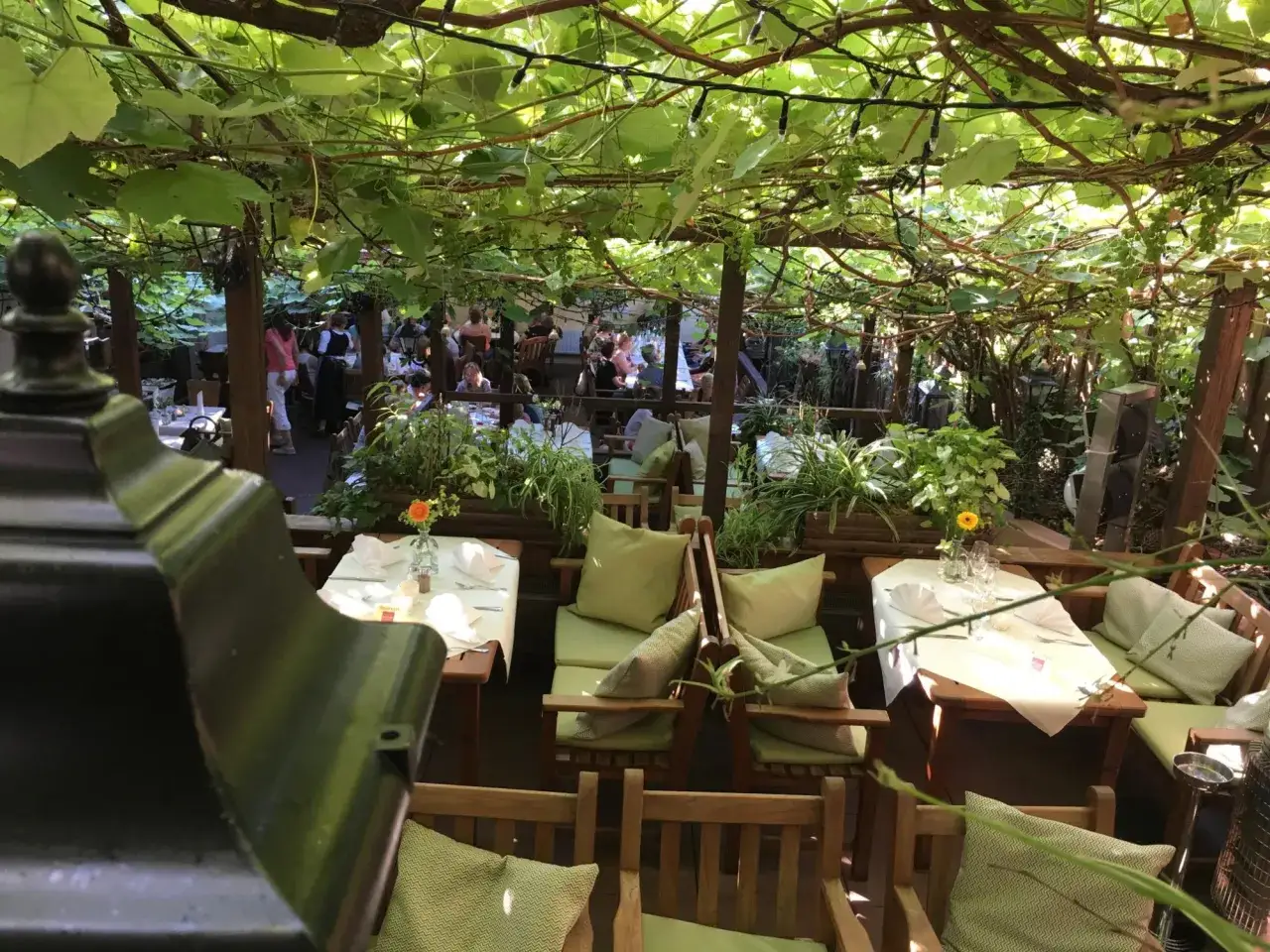 Bad Mergentheim Gastronomie: Ihr Genussführer für Restaurants & Wein