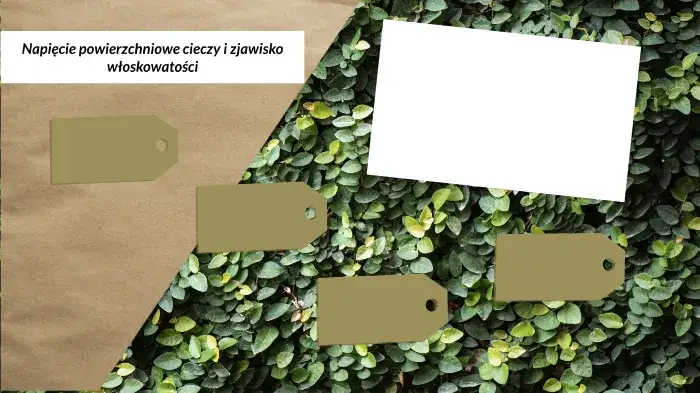 Na czym polega zjawisko włoskowatości i jak wpływa na życie roślin?