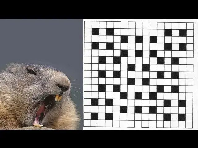 Arfa w krzyżówkach: sekrety rozwiązywania i pułapki, których unikać!