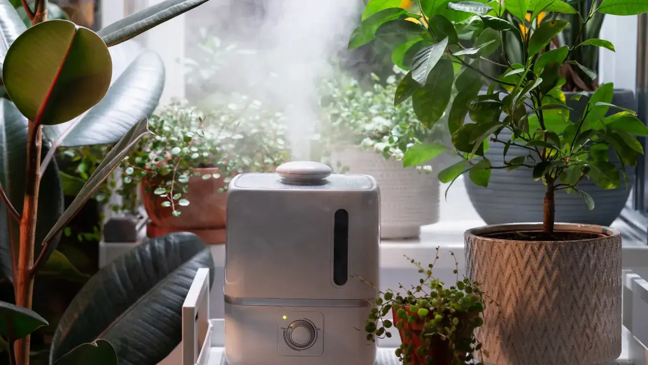 Jak wybrać nawilżacz? Przewodnik po zdrowym powietrzu w domu