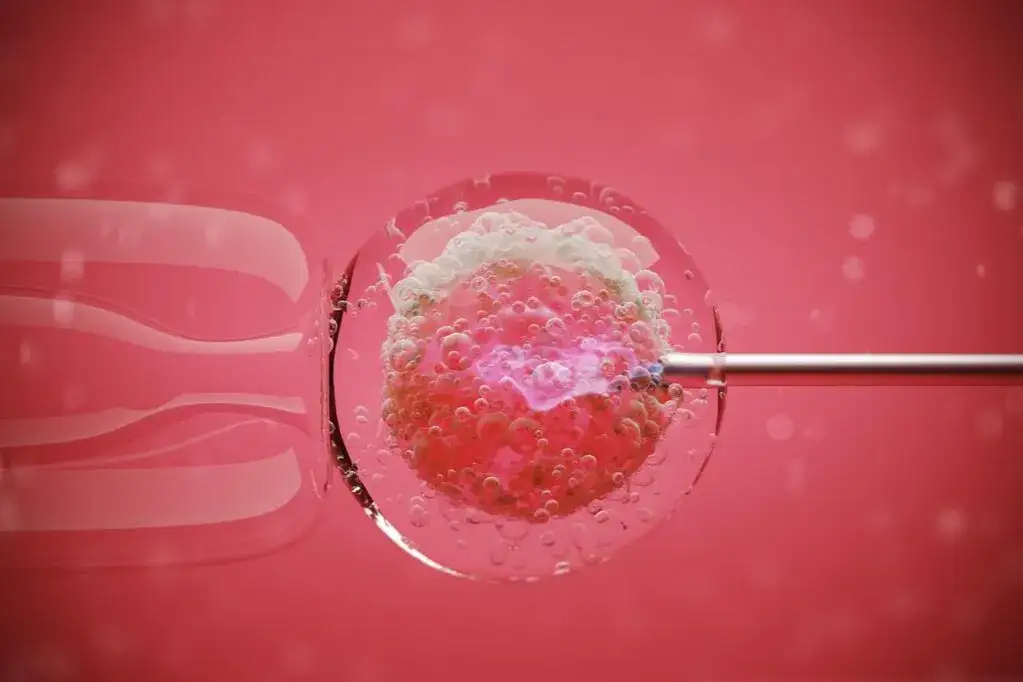 Leki po kriotransferze na cyklu naturalnym – co musisz wiedzieć?
