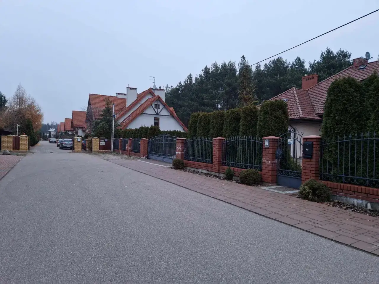 Ulica w Białowieży z domami z czerwonymi dachami i żywopłotami. Może to dom Zenka Martyniuka w Białowieży?