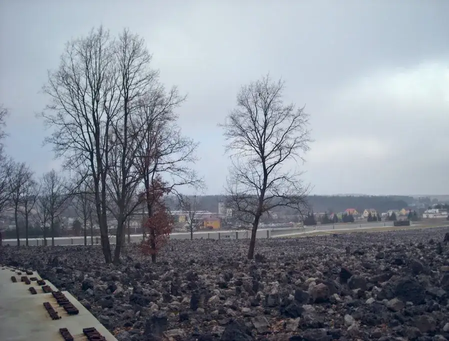 Co zostaje z Auschwitz: filozoficzne konsekwencje homo sacer w myśli Agambena