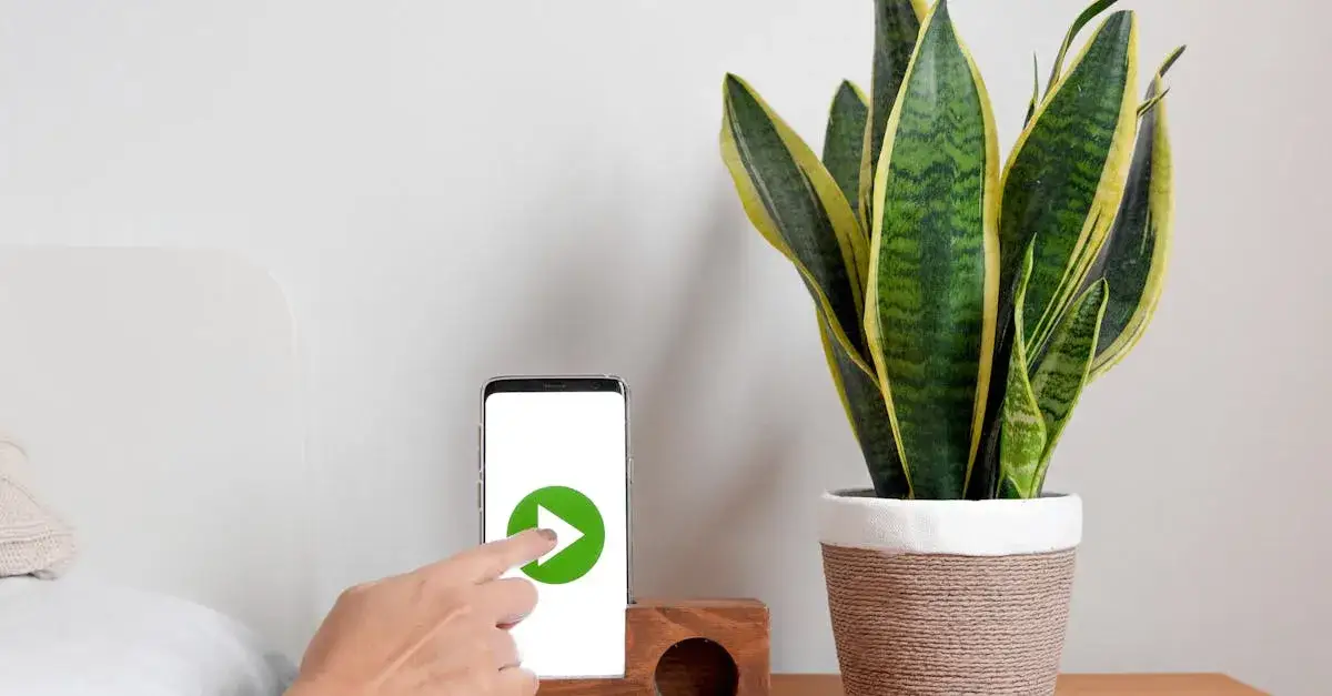 Seriale w social media: Nowy wymiar interakcji z widzem?