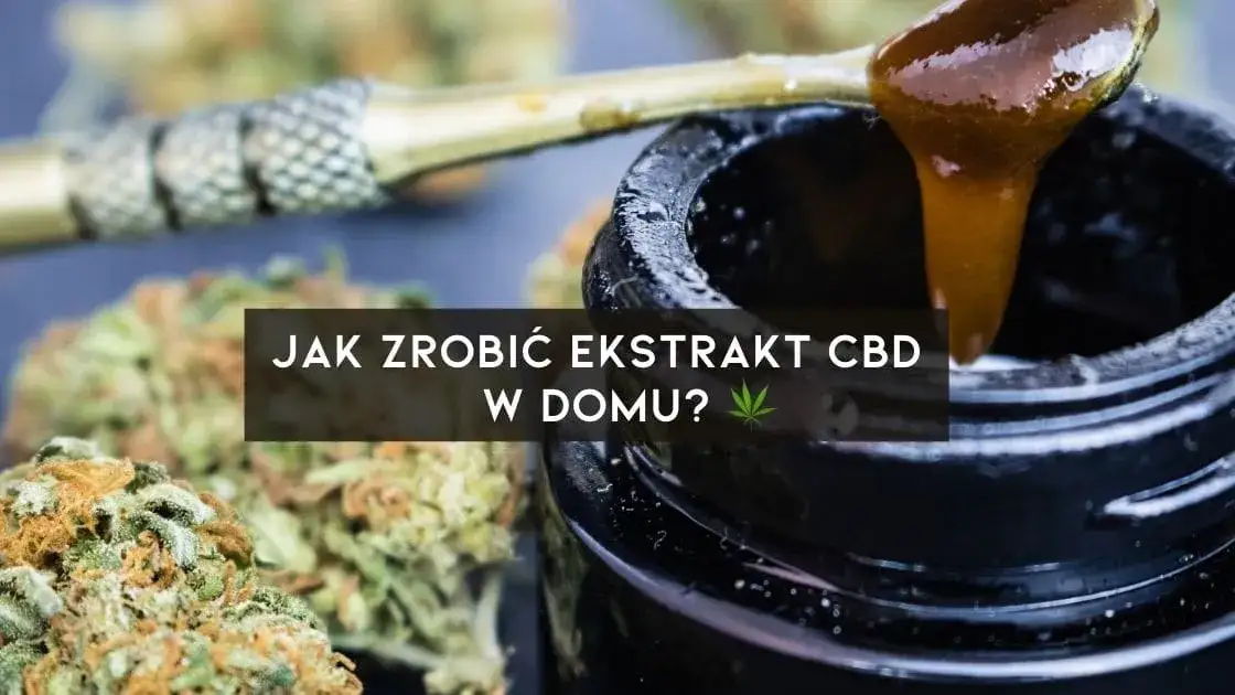 Jak zrobić olej konopny CBD: Prosty przepis z krokami i poradami