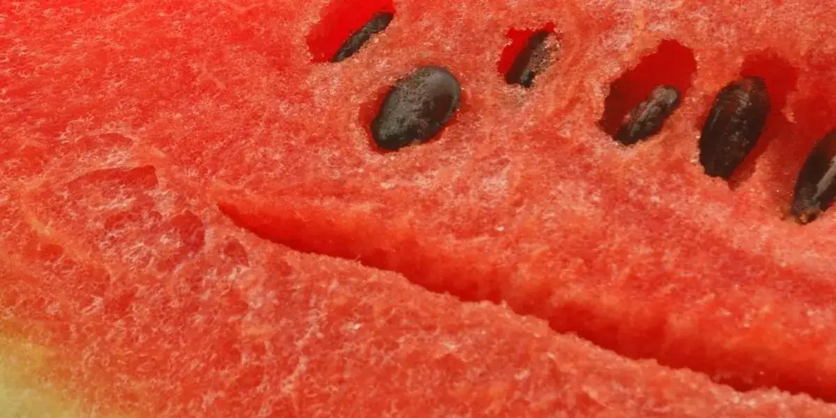 Kiedy sezon na arbuza? Sprawdź, by nie przegapić smaku lata
