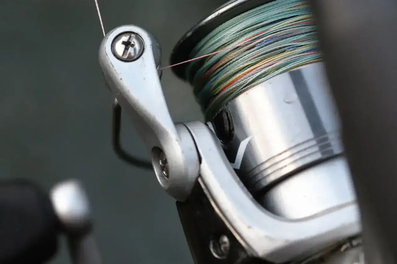 Zbliżenie na szpulę kołowrotka spinningowego z nawiniętą wielokolorową żyłką.