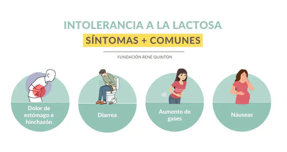 Síntomas de intolerancia a la lactosa: Identifica y vive sin molestias