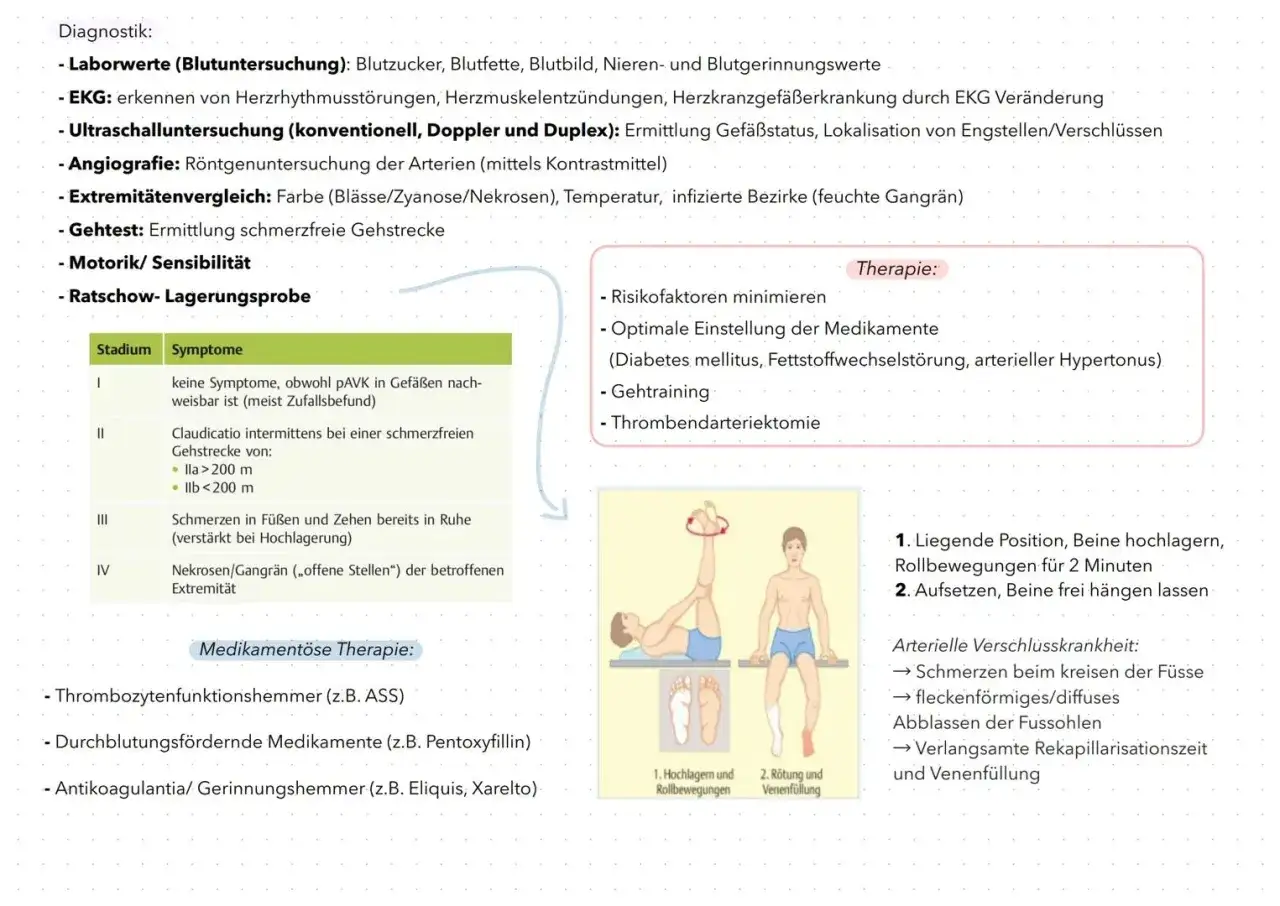 Schema zur Diagnose und Therapie der pAVK mit Illustrationen von Beinübungen.