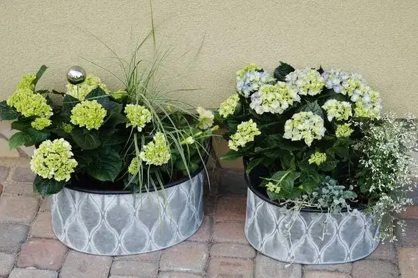  Osłonki metalowe na doniczki - zaoszczędź czas i zabezpiecz swoje rośliny w stylowe metalowe osłonki