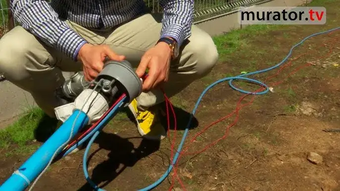 Jak wybrać pompę ogrodową? Kompletny poradnik Agnieszki Kozłowskiej