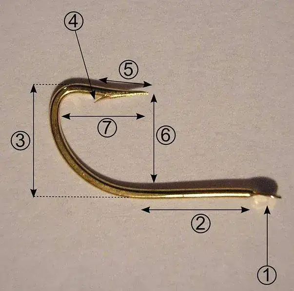 Jaki haczyk na węgorza? Wybierz najlepszy rozmiar dla skutecznego łowienia