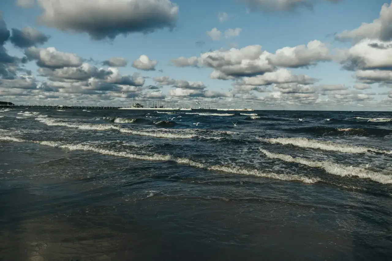 Fale rozbijają się o brzeg, mewy szybują nad wzburzonym morzem. W oddali widać molo i budynki. Aktualny stan morza jest dynamiczny.